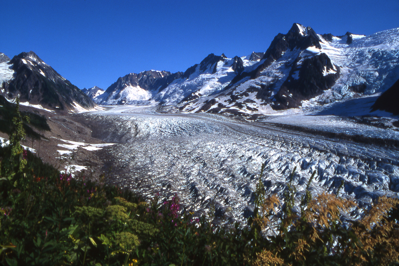 Upper Walker Glacier